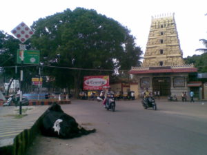 Gokulam Mysore